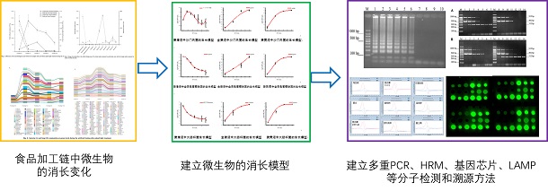 图示-1.jpg